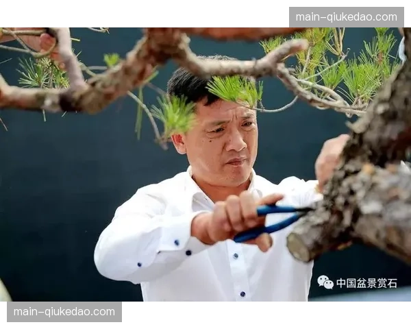 一家网球学院因涉嫌年龄造假与资格欺诈，正在接受相关调查